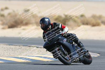 media/Mar-28-2022-Superbike Trackdays (Mon) [[b8603d0f67]]/Open Track Time/Turn 16/